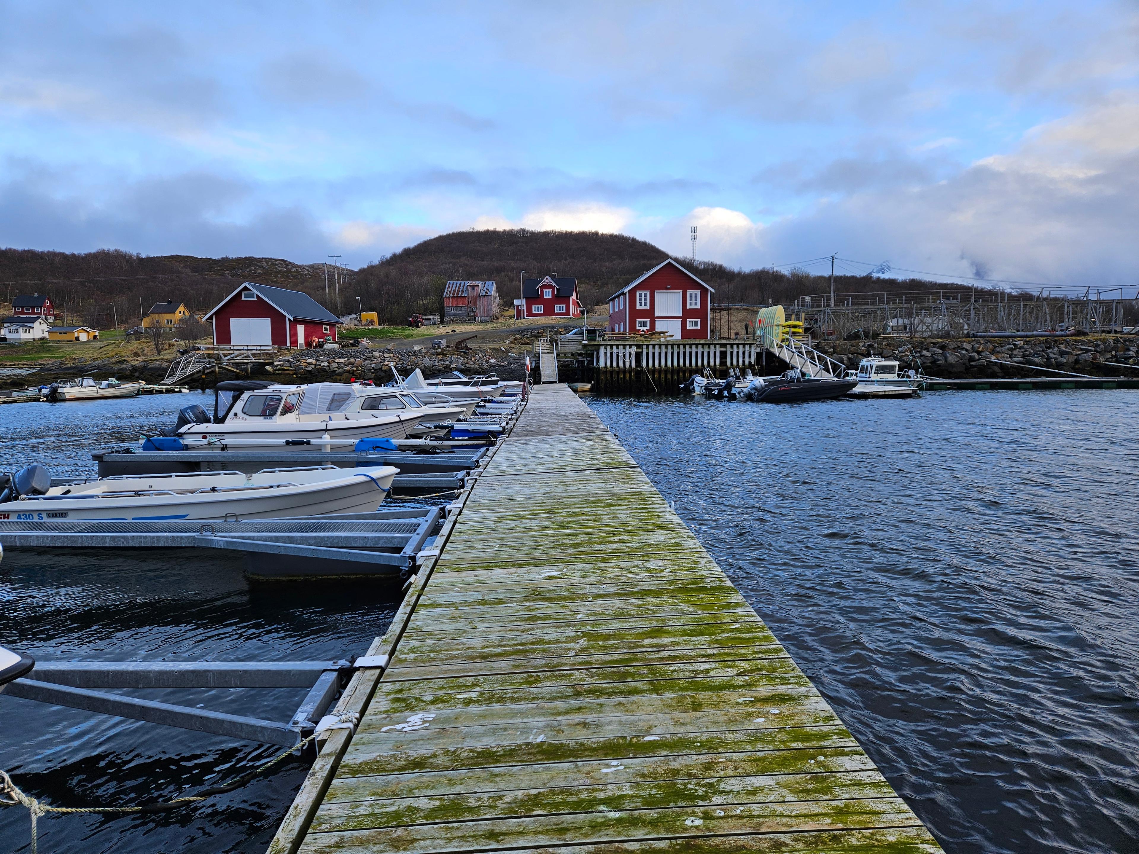 Gjestebrygge